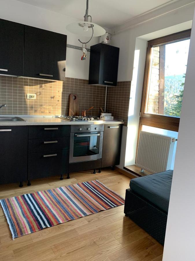 Ferienwohnung Cioplea View Predeal Exterior foto